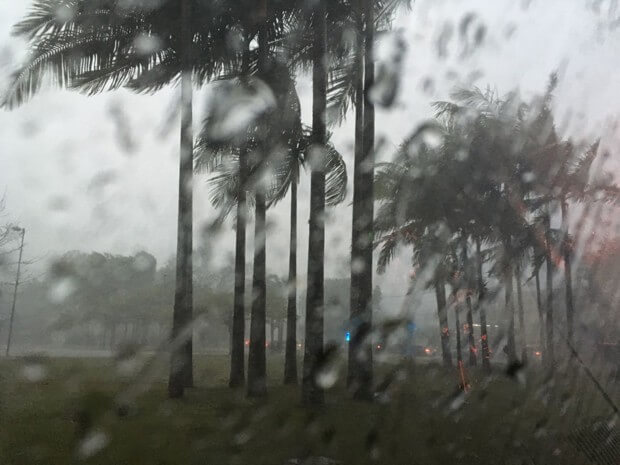 Chuva na região da Cidade Universitária, na Zona Oeste de São Paulo, na tarde desta quinta-feira (Foto: Cintia Acayaba/G1)